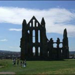 Meet your Posher, Carl